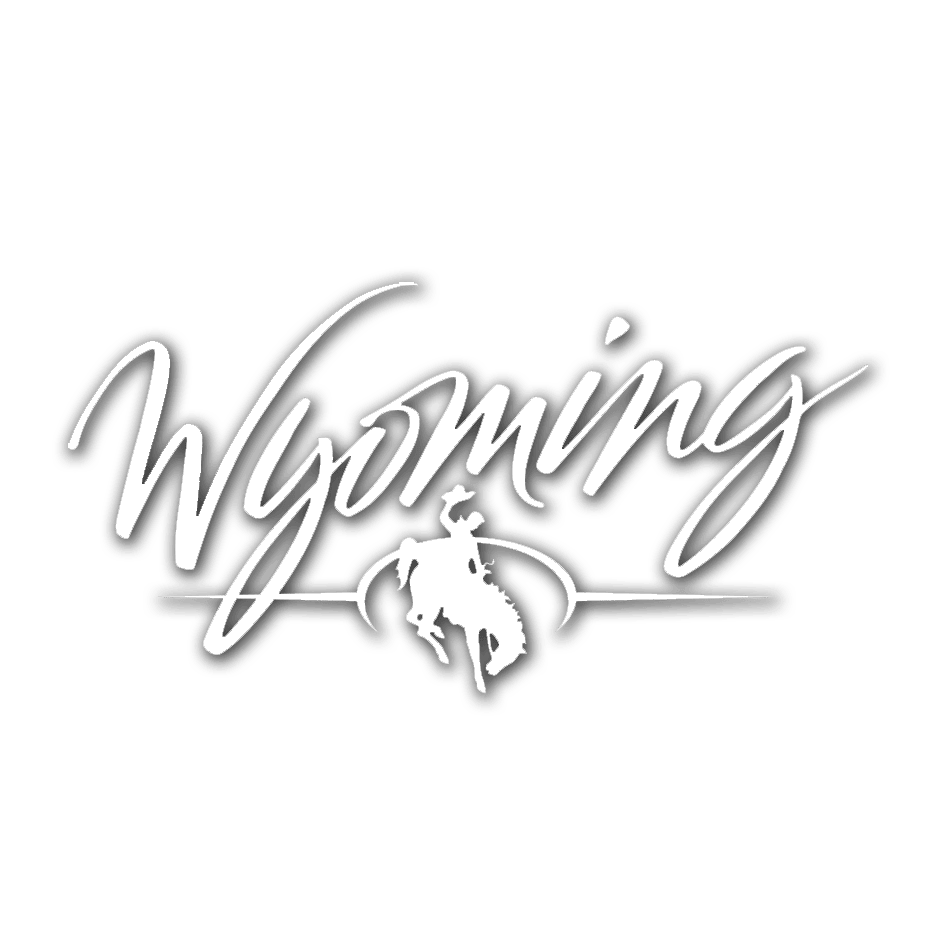 Favicon for cpaboard.wyo.gov