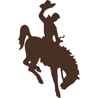 Favicon for gaming.wyo.gov