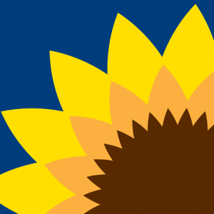 Favicon for ksboa.kansas.gov