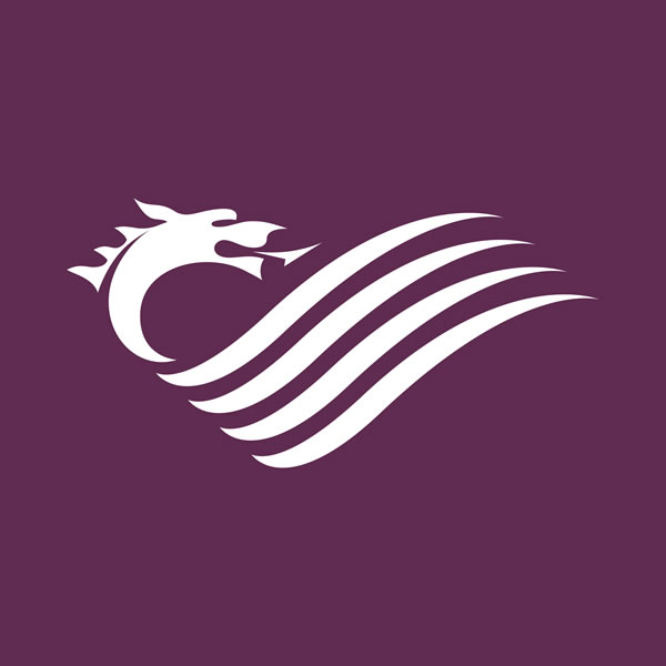 Favicon for senedd.wales